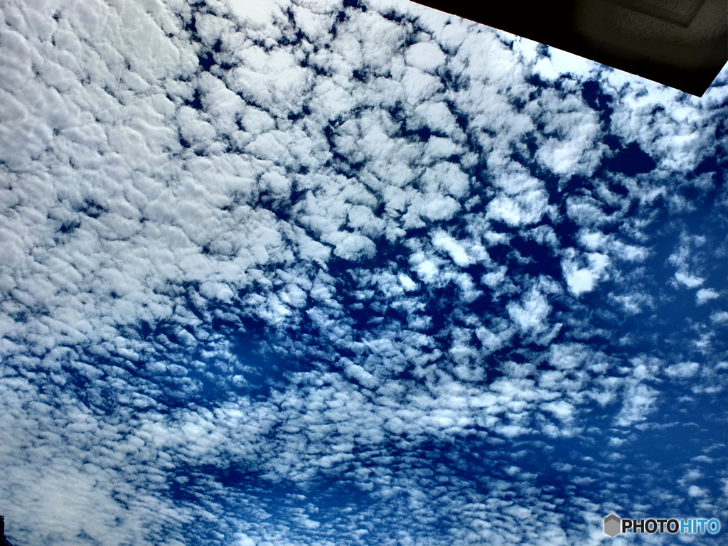 6/17 横浜旭区の青空 3