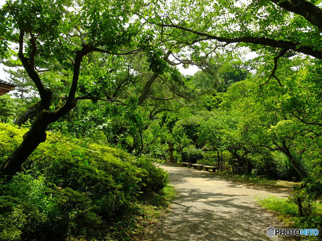 休日photo 64
