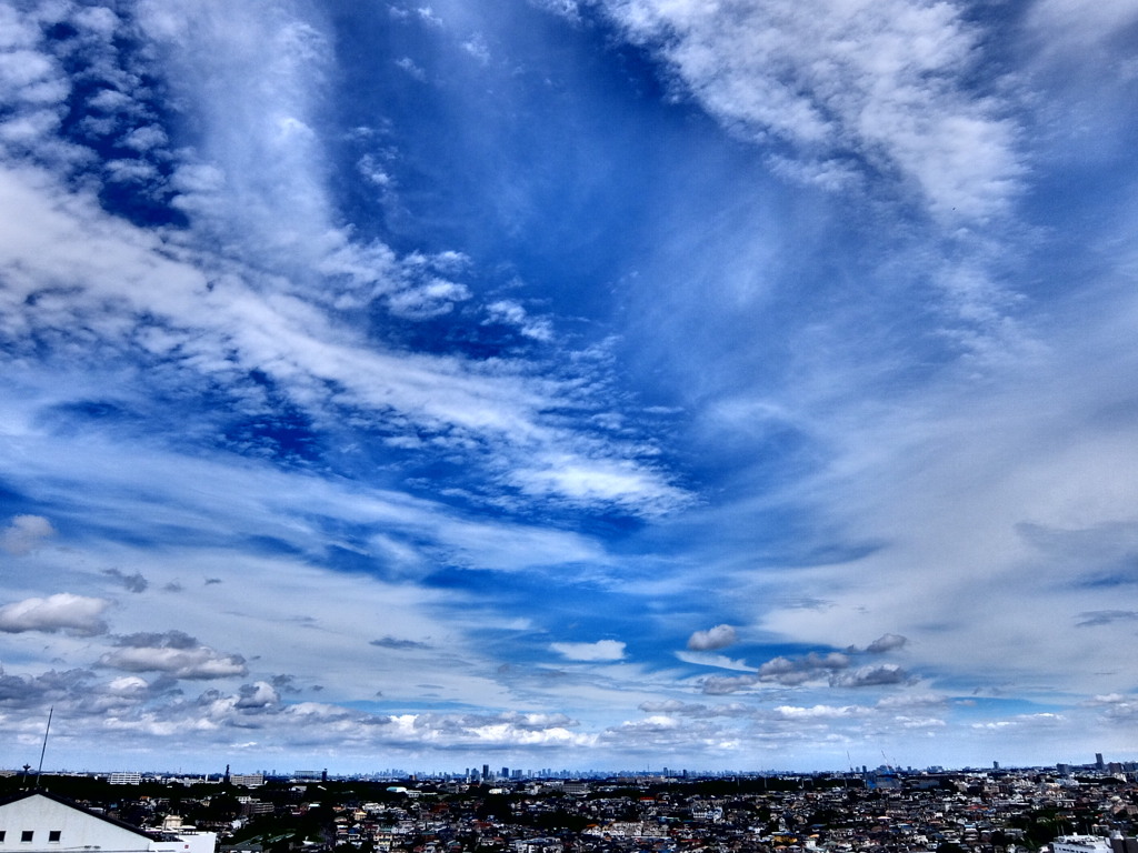 7/19 今日の青空 #2