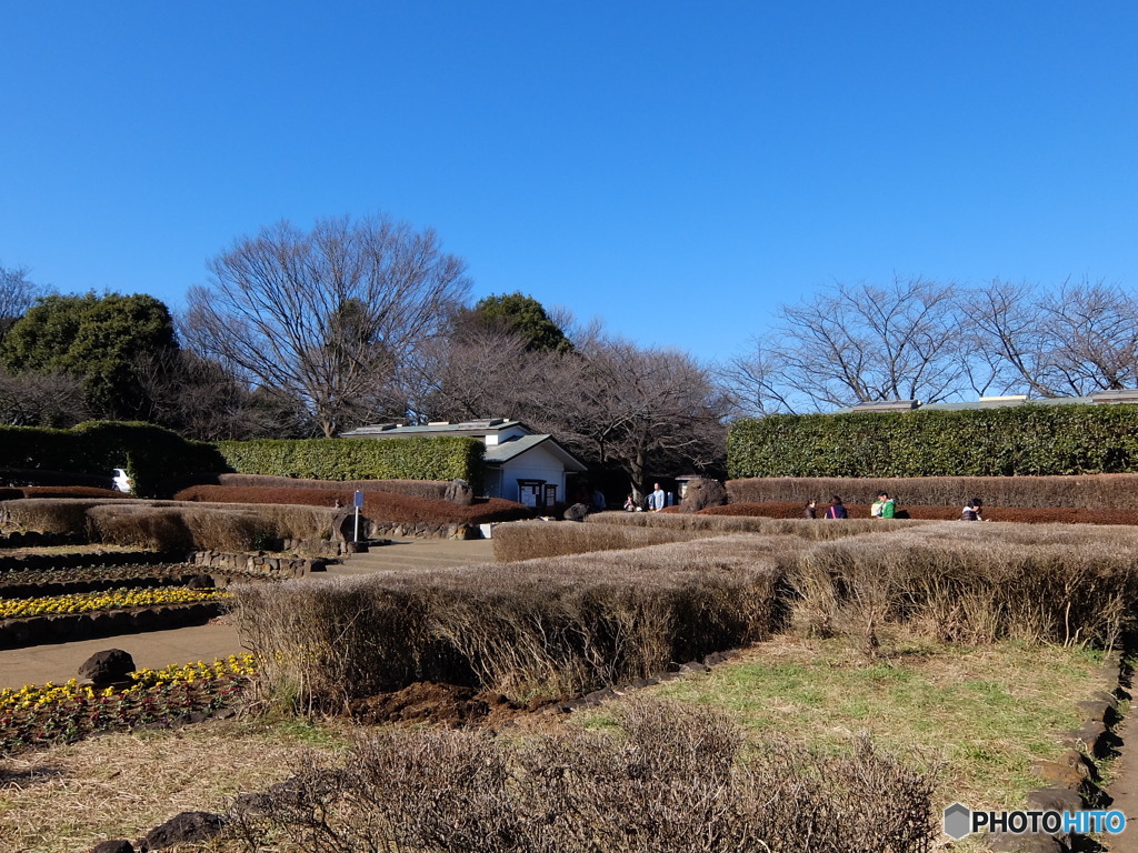 横浜四季の森公園より #6