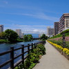 休日photo #136