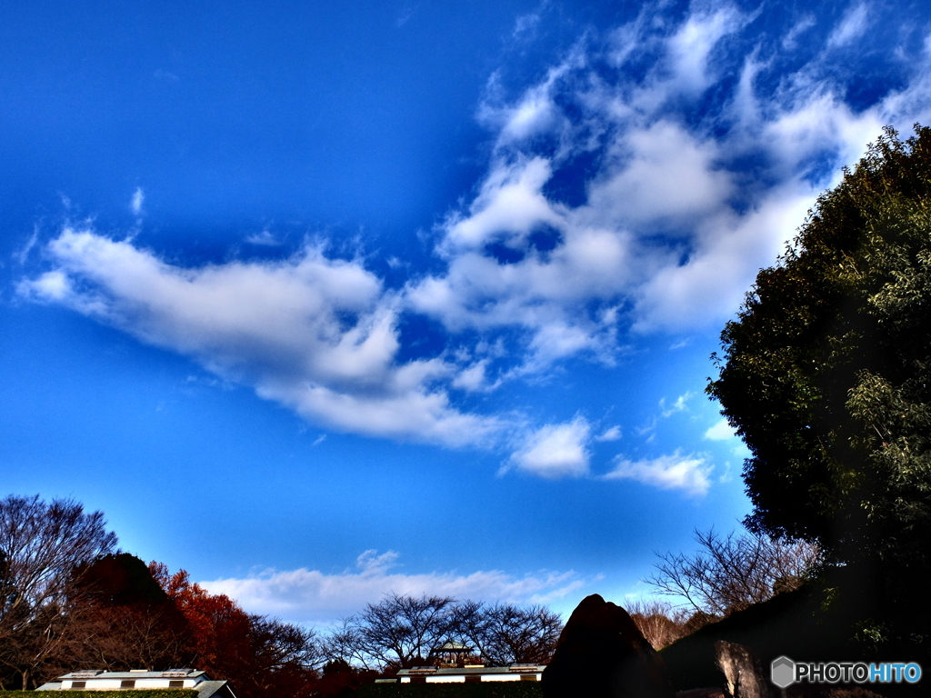 12/27　今日の青空4。