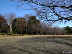 休日ＰＨＯＴＯ　1