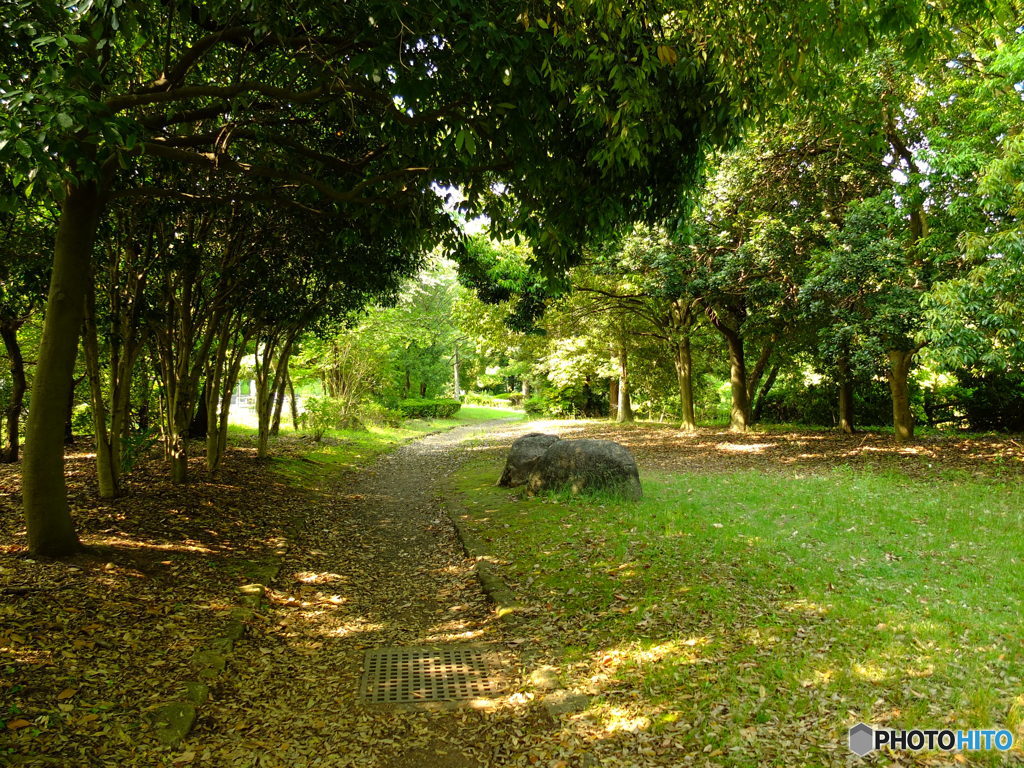 休日photo 29
