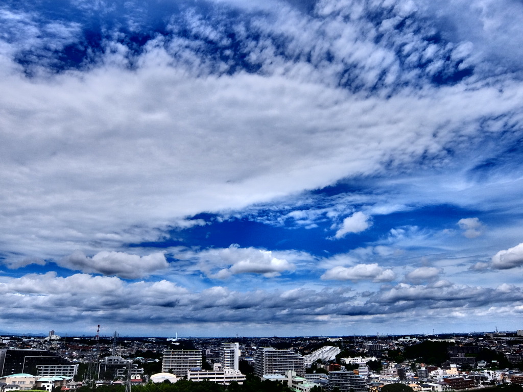 7/19 今日の青空。