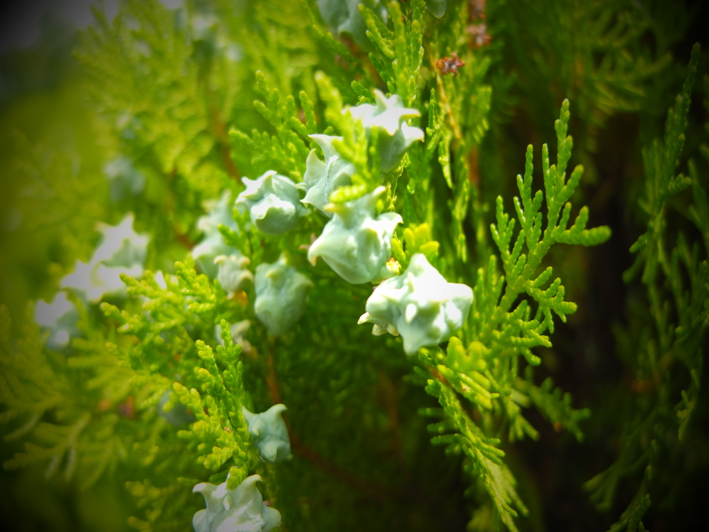 もう少しまっててね。