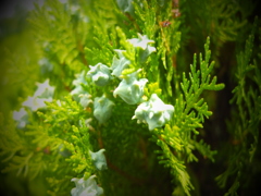 もう少しまっててね。