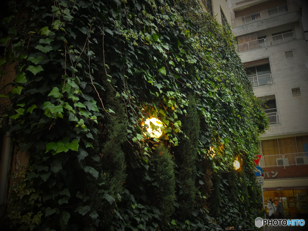 八王子nostalgie　2