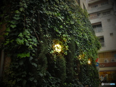 八王子nostalgie　2