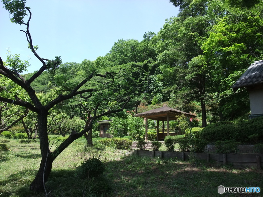 休日photo 22
