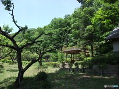 休日photo 22