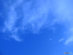 8/1　横浜の青空2。