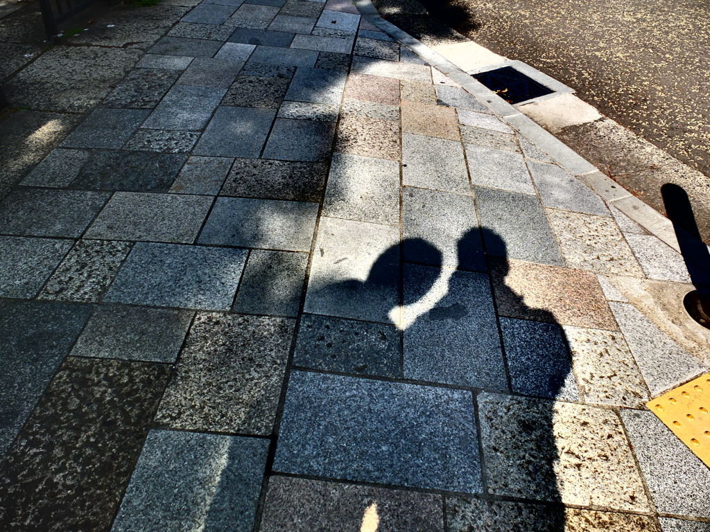 2/13　記念日（横浜港の見える丘公園より）