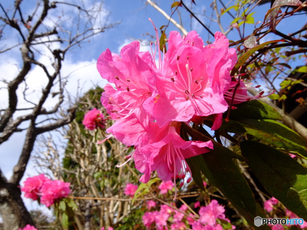 3/18鎌倉 #6