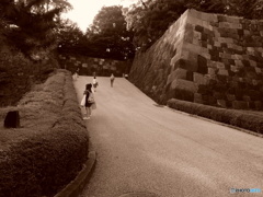 TOKYO  HILL1