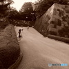 TOKYO  HILL1