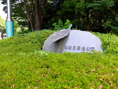 相模原麻溝公園1。
