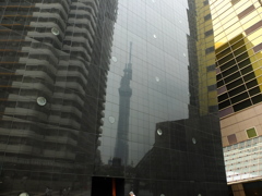 スカイツリー歪む。