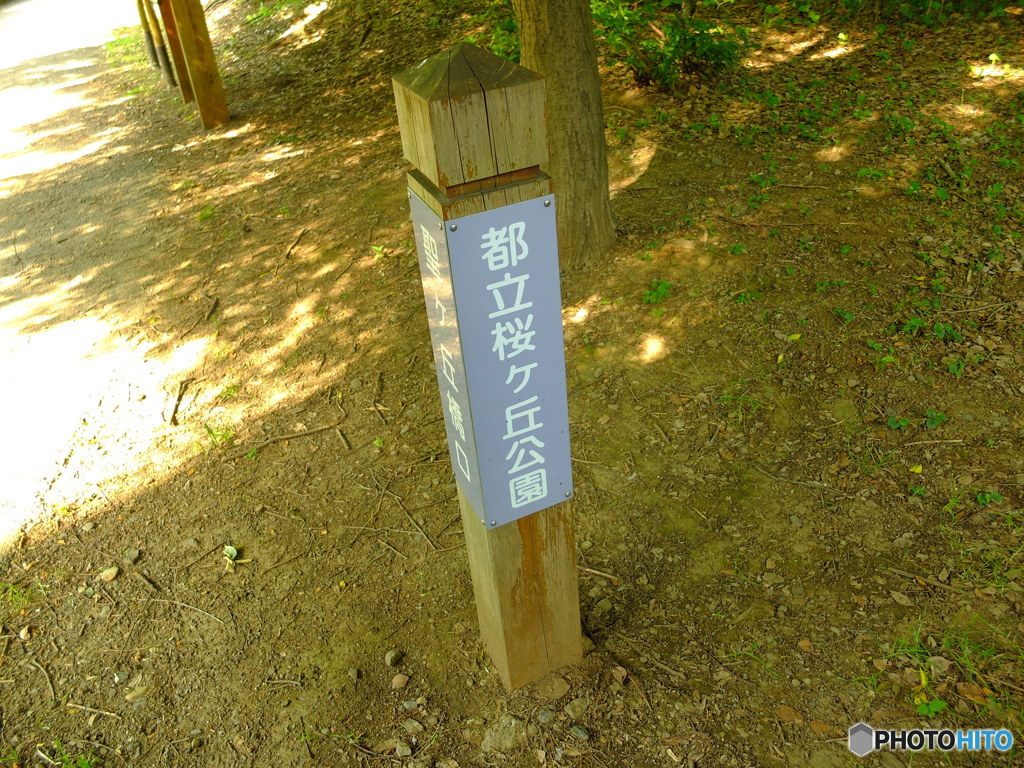 休日photo 28
