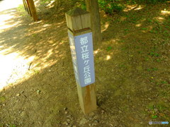 休日photo 28