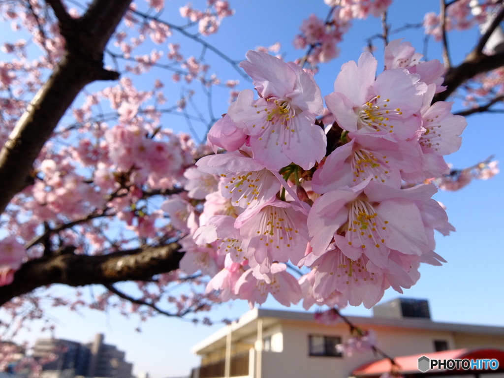 今年も早速。