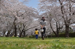 家族の風景