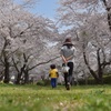 家族の風景