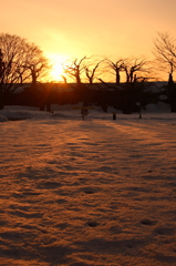 夕日差し込む雪原