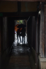 京都試写