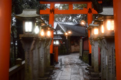 雨の灯