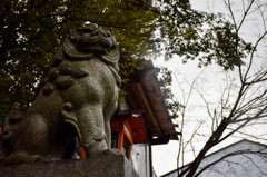 京都試写