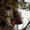 京都試写