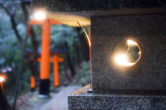 雨の灯