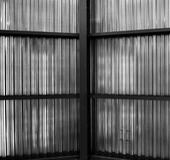 硬の中の光