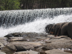 踊水