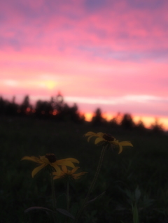 曇天の夕暮れ