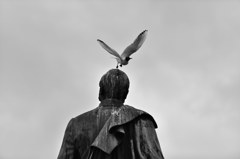 _NRW5647
