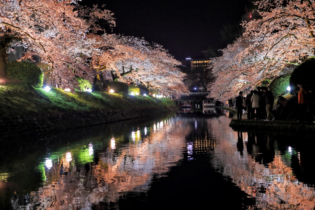 松川の夜桜 2016