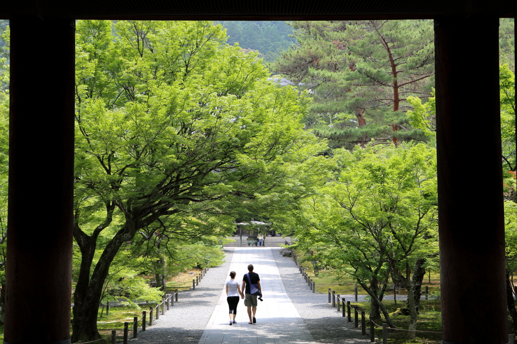 緑の参道