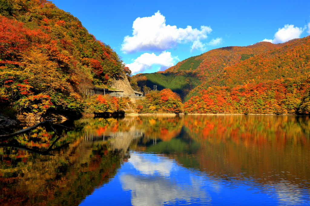 庄川峡紅葉