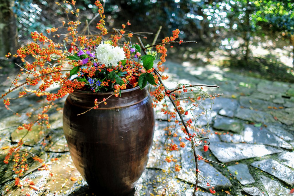 円山庵の生け花