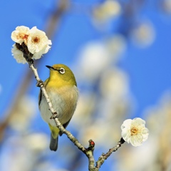 春の気配