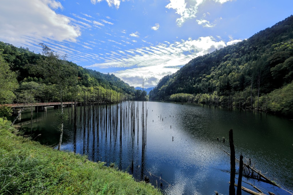 紅葉してない自然湖