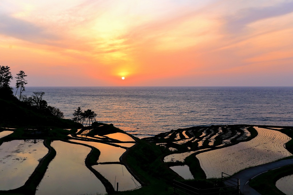 千枚田の夕焼け