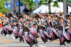 よっしゃこい CHOUROKU祭り