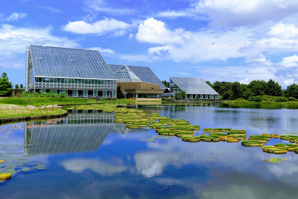 夏の植物園