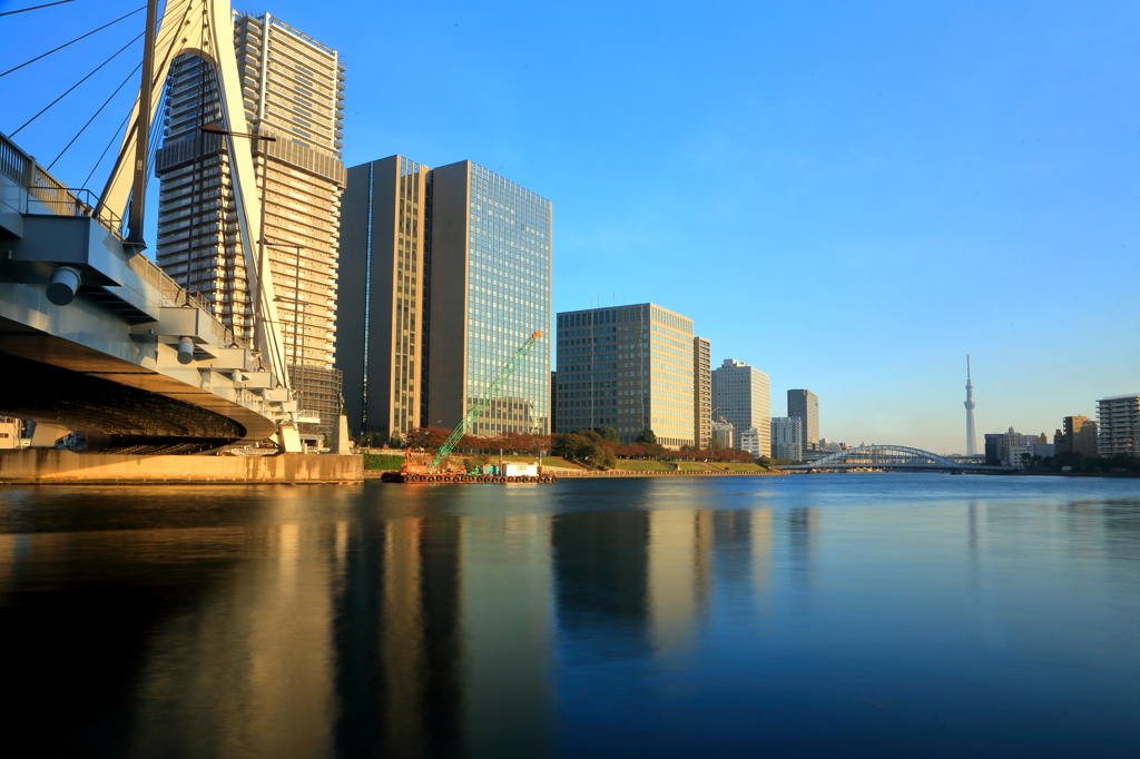 隅田川の朝