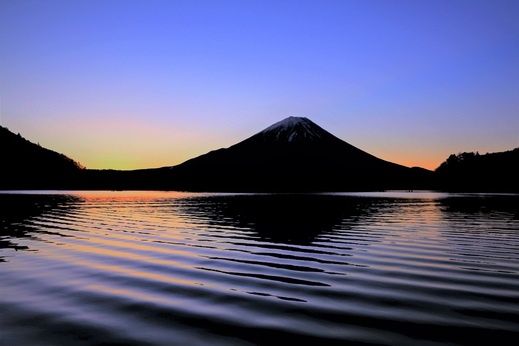 精進湖 ゆらぐ影