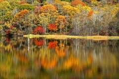 紅葉の鏡池