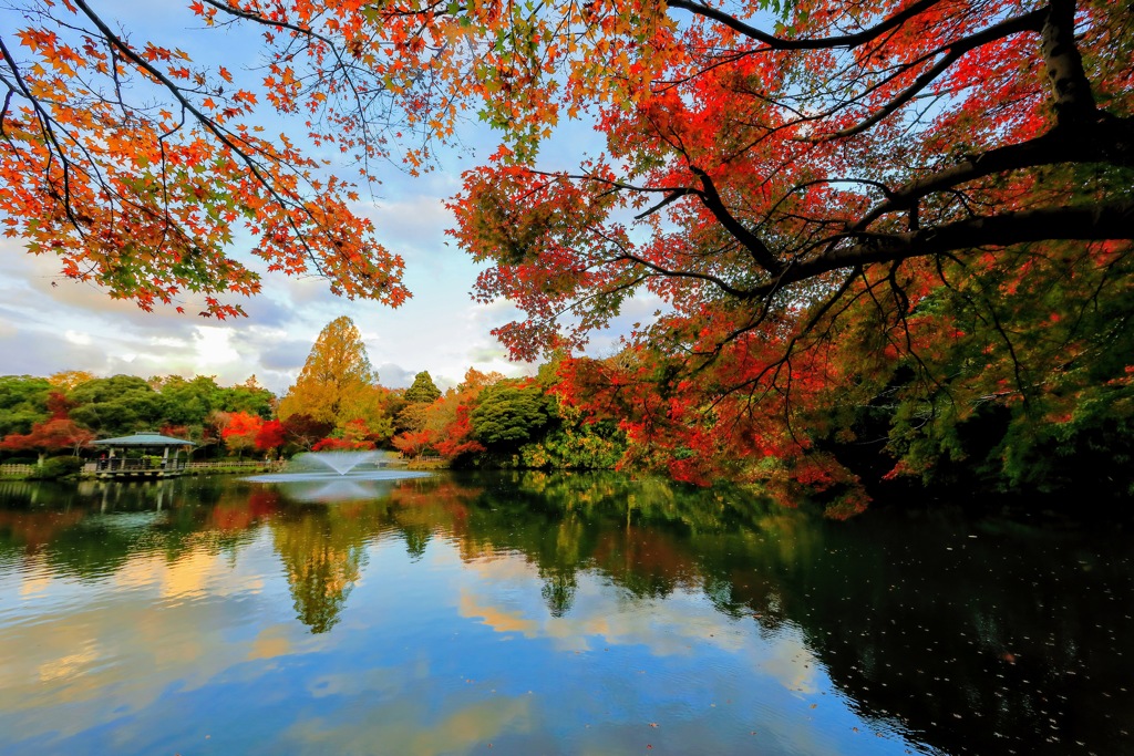 古城公園の紅葉